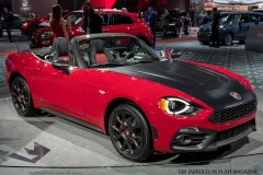 Detroit Auto Show 4