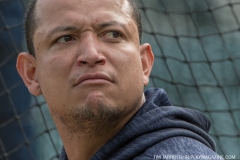Tigers vs Angels May 30 2018 (1)