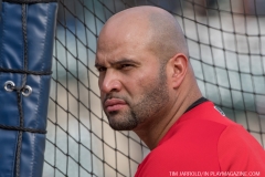 Tigers vs Angels May 30 2018 (10)