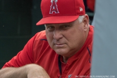 Tigers vs Angels May 30 2018 (11)