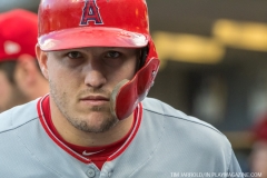 Tigers vs Angels May 30 2018 (12)