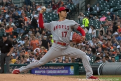 Tigers vs Angels May 30 2018 (15)