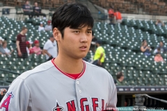 Tigers vs Angels May 30 2018 (17)