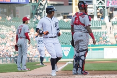 Tigers vs Angels May 30 2018 (18)