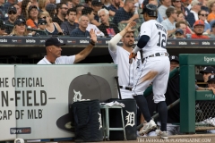Tigers vs Angels May 30 2018 (19)