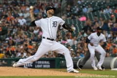 Tigers vs Angels May 30 2018 (23)