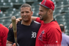 Tigers vs Angels May 30 2018 (3)