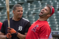 Tigers vs Angels May 30 2018 (4)