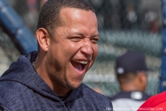 Tigers vs Angels May 30 2018 (6)