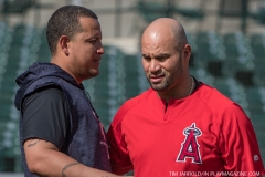 Tigers vs Angels May 30 2018 (7)