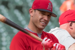 Tigers vs Angels May 30 2018 (9)