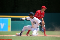 Tigers vs Angels May 31 2018 (8)