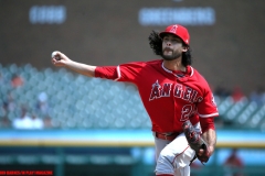 Tigers vs Angels May 31 2018 (9)