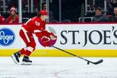 Red Wings vs Blackhawks Feb 20 2019 (10)
