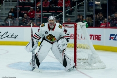 Red Wings vs Blackhawks Feb 20 2019 (11)