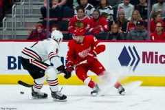 Red Wings vs Blackhawks Feb 20 2019 (12)