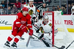 Red Wings vs Blackhawks Feb 20 2019 (13)