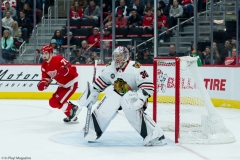 Red Wings vs Blackhawks Feb 20 2019 (16)