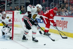 Red Wings vs Blackhawks Feb 20 2019 (17)
