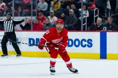 Red Wings vs Blackhawks Feb 20 2019 (18)