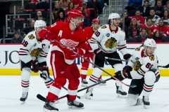 Red Wings vs Blackhawks Feb 20 2019 (19)