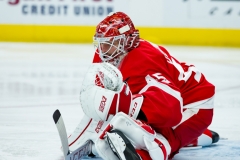Red Wings vs Blackhawks Feb 20 2019 (23)