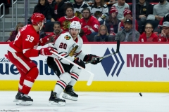 Red Wings vs Blackhawks Feb 20 2019 (25)