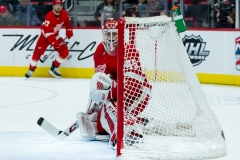 Red Wings vs Blackhawks Feb 20 2019 (31)