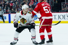 Red Wings vs Blackhawks Feb 20 2019 (32)