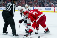 Red Wings vs Blackhawks Feb 20 2019 (33)