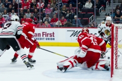 Red Wings vs Blackhawks Feb 20 2019 (34)
