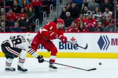 Red Wings vs Blackhawks Feb 20 2019 (39)