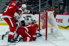 Red Wings vs Blackhawks Feb 20 2019 (6)