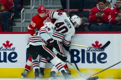 Red Wings vs Blackhawks Feb 20 2019 (7)
