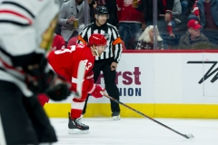 Red Wings vs Blackhawks Feb 20 2019 (8)