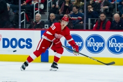 Red Wings vs Blackhawks Feb 20 2019 (9)
