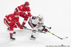 Blackhawks-vs-Red-Wings-September-18-2019-24