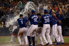 Tigers vs Blue Jays June 30 2018 (17)
