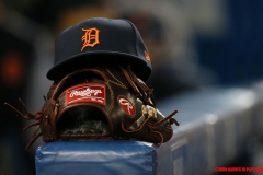 Blue-Jays-vs-Tigers-March-29-2019-10