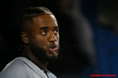 Blue-Jays-vs-Tigers-March-29-2019-8
