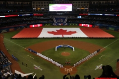 Blue-Jays-vs-Tigers-March-28-2019-2
