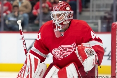 St.-Louis-Blues-vs-Detroit-Red-Wings-October-27-2019-33