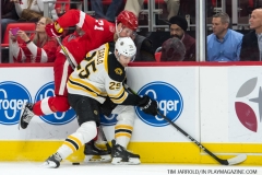 Red Wings vs Boston Bruins Feb 6 2018 (1)