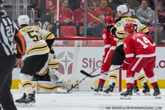 Red Wings vs Boston Bruins Feb 6 2018 (10)
