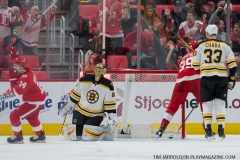 Red Wings vs Boston Bruins Feb 6 2018 (11)