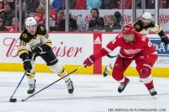 Red Wings vs Boston Bruins Feb 6 2018 (12)