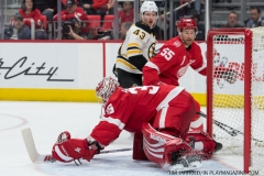 Red Wings vs Boston Bruins Feb 6 2018 (15)
