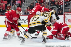 Red Wings vs Boston Bruins Feb 6 2018 (18)