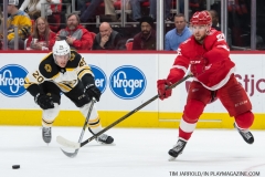 Red Wings vs Boston Bruins Feb 6 2018 (19)