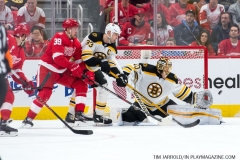 Red Wings vs Boston Bruins Feb 6 2018 (20)